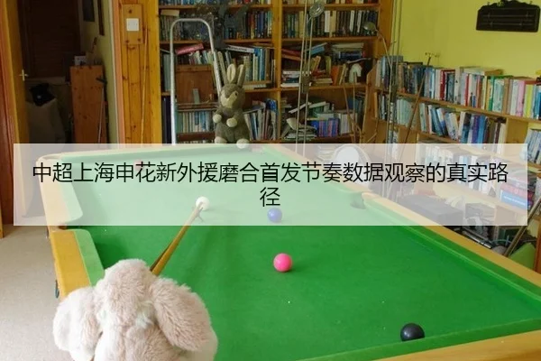 中超上海申花新外援磨合首发节奏数据观察的真实路径